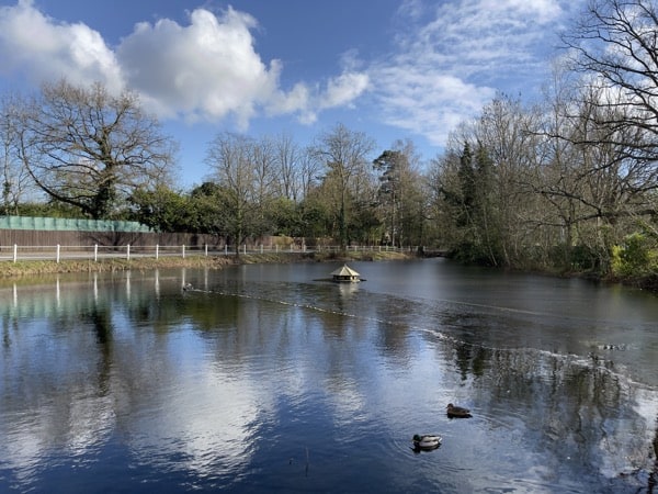 Thử nghiệm 2: Thu phóng hình ảnh