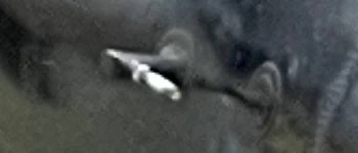 Hình ảnh từ iPhone 12 Pro Max