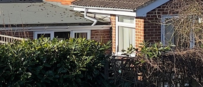 Hình ảnh từ iPhone 12 Pro Max