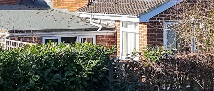 Hình ảnh từ Samsung S21 Ultra