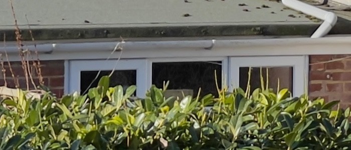 Hình ảnh từ iPhone 12 Pro Max