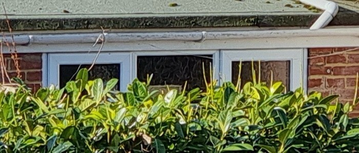 Hình ảnh từ Samsung S21 Ultra