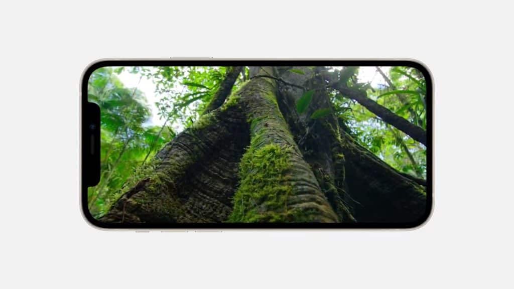 Màn hình OLED Super Retina sắc nét, sống động