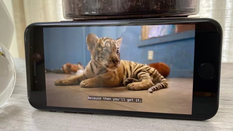 màn hình iPhone SE 2020