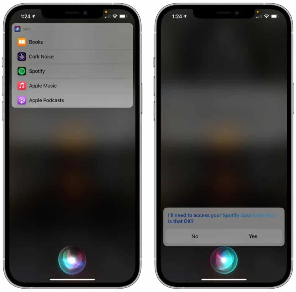 Đặt dịch vụ phát nhạc mặc định