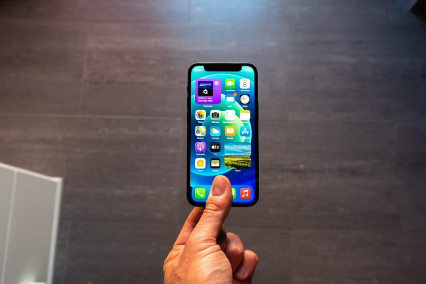 Không có phiên bản Pro mini